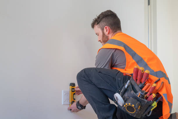 Best Electrical Upgrades for Homes  in Indian Shores, FL